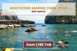 Angthong Marine Park by Big Boat Koh Samui Tours www.nettoursasia.com