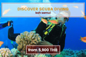 Discover Scuba Diving – Beginner Dive Koh Samui Tours www.nettoursasia.com