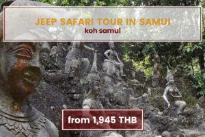 Jeep Safari Island Tour around Koh Samui Koh Samui Tours www.nettoursasia.com