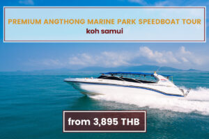 Premium Angthong Marine Park by Speed Boat Koh Samui Tours www.nettoursasia.com