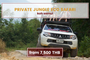Private Jungle Eco Safari – Just Jungle Safari Adventure tours www.nettoursasia.com