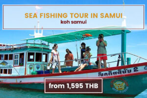 Sea Fishing Adventure Tour Koh Samui Tours www.nettoursasia.com